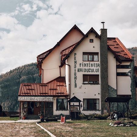 Pensiunea Fantanita Haiducului Ciungetu Esterno foto